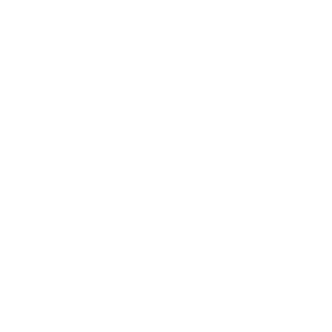 Splunk Logo