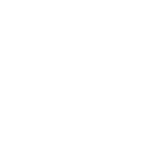 texas dir logo